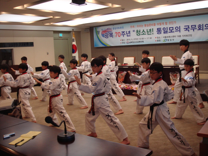 크기변환_7. 문화공연.JPG : 문화공연(태권도시범단)-광복 70주년 